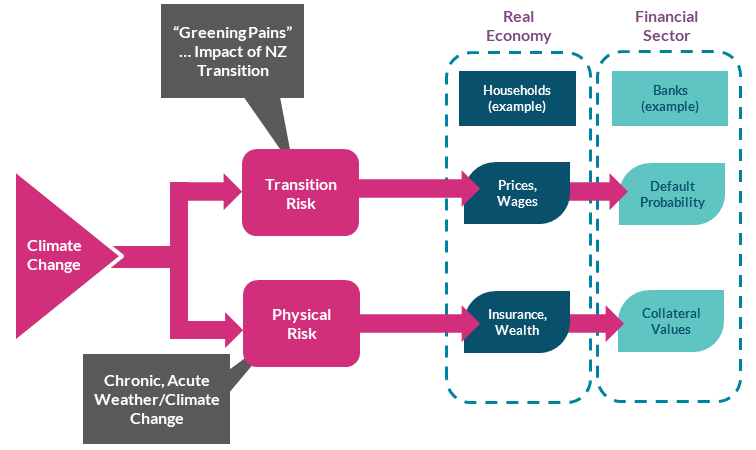 Climate Change Physical risks versus Transition risks